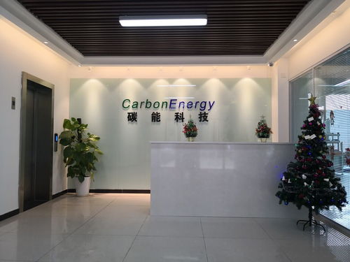碳能科技與雪鵬科技 將二氧化碳轉化為綠色新材料的先鋒探索