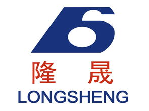 蘭州隆晟包裝食品機械與雪鵬科技 專注食品機械，賦能行業高效生產